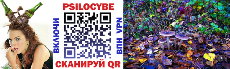 Псилоцибиновые грибы MAGIC MUSHROOMS  где купить наркотик  Новая Ляля 